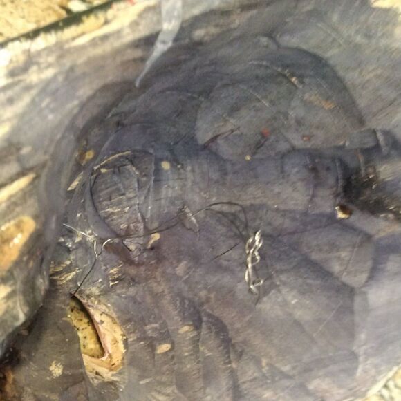 GUATEMALAN MEXICAN MOVABLE SKULL MASK TRANSFORMATION WOODEN FOLK ART HAND CARVED - Picture 9 of 12